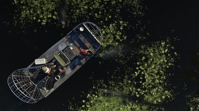 Grassrivers wetlands in an official GTA 6 screenshot