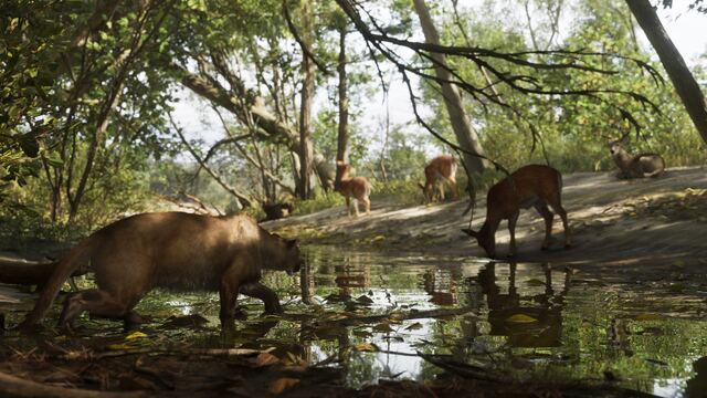 Mount Kalaga National Park in an official GTA 6 screenshot